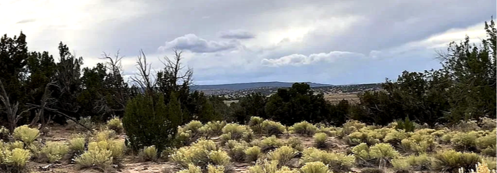 Vaerix / Tracts - High-definition aerial land imagery designed for tracts of any size